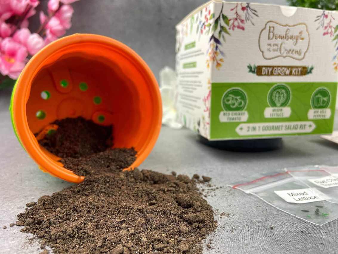 Beginers-gardening-kit