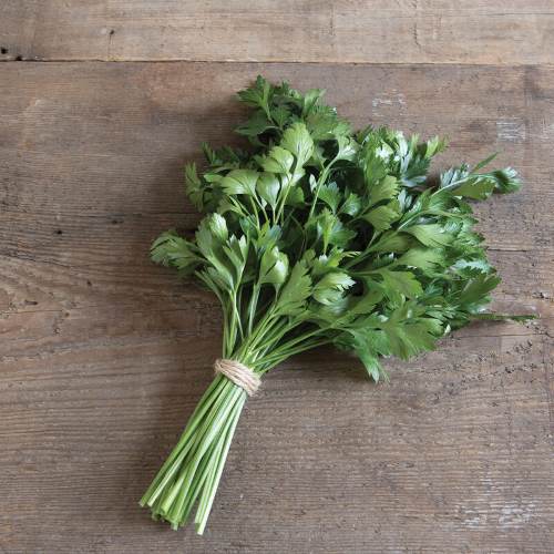 Biocarve Parsley Seeds-1