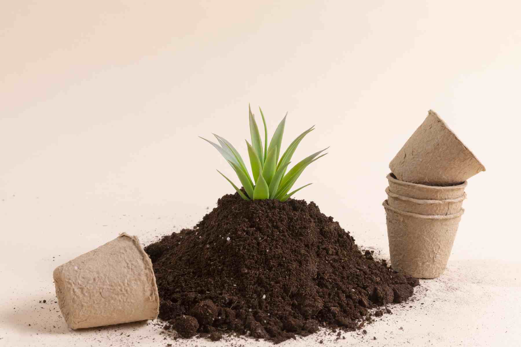 Coco peat