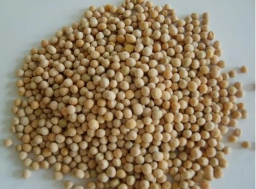DAP (Phosphate) Granules