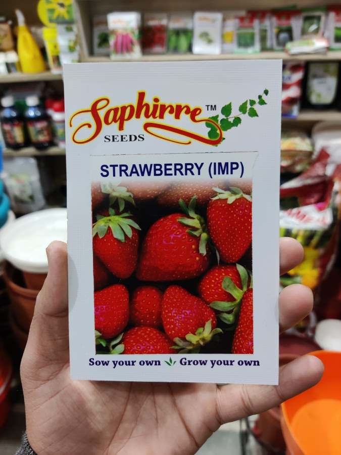 Demand Agro Strawberry Seeds-1