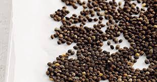 Papaya Seeds (3 seeds)-2