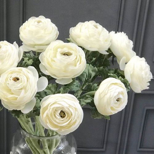 Ranunculus (White) - Bulbs