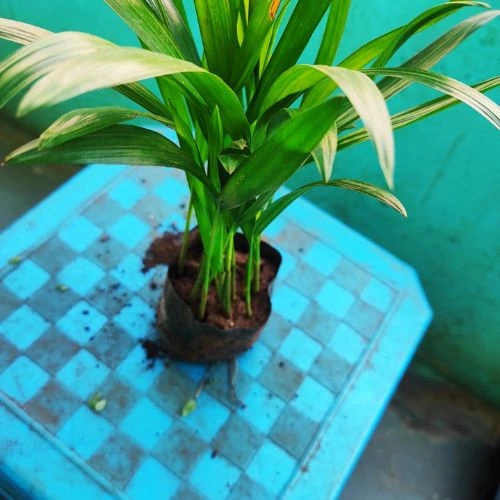 Untitled-design-27-1