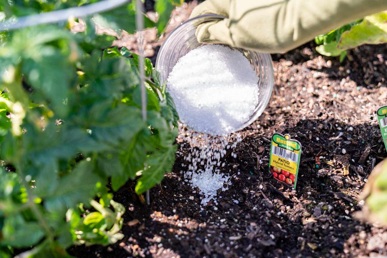 epsom salt4