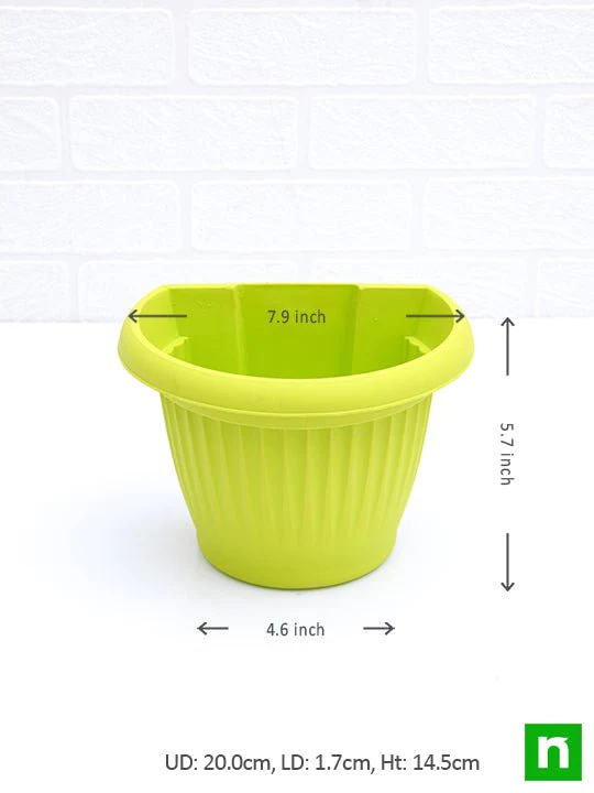 nurserylive-combo-packs-pots-7-9-inch-20-cm-bello-wall-mounted-d-shape-plastic-planters-mix-color-pack-of-six-737839_540x720