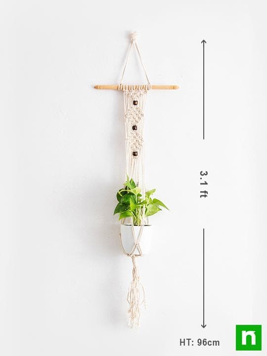 nurserylive-handmade-sa004-macrame-hanger-for-plants-cotton-white-with-small-wooden-stick-2_b257a2f9-2b83-48fa-81e3-38db7572886e_540x720