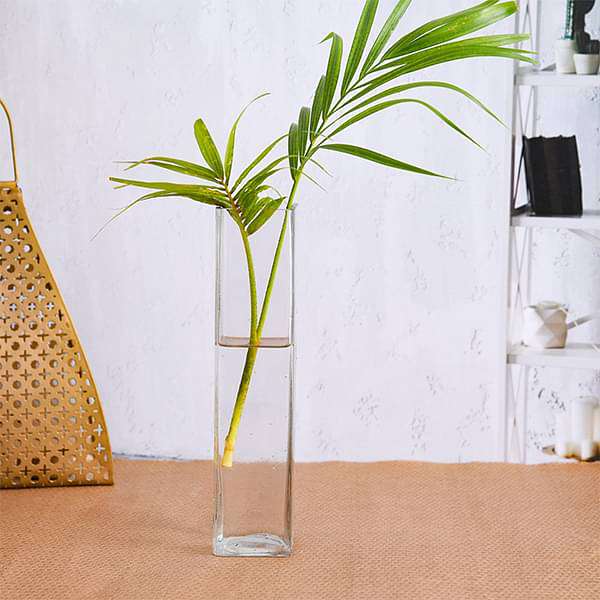 nurserylive-planters-2-inch-5-cm-square-glass-vase-9-inch-23-cm-height-16968447295628_600x600