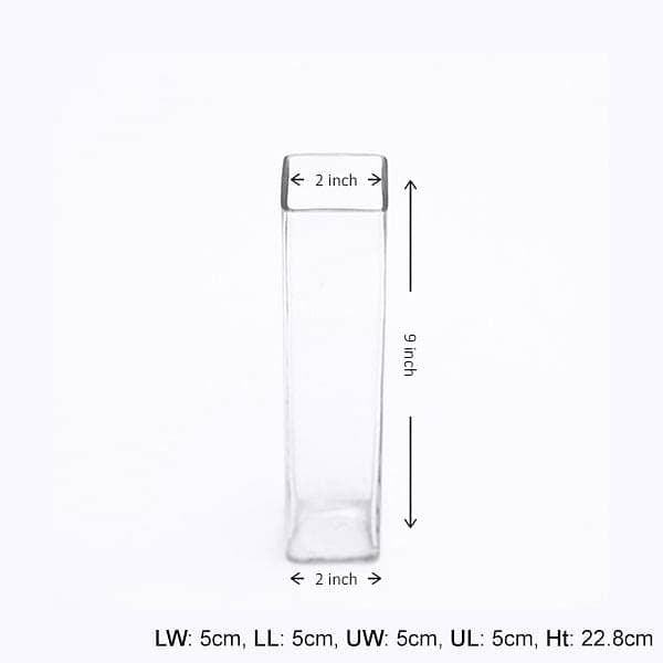 nurserylive-planters-2-inch-5-cm-square-glass-vase-9-inch-23-cm-height-16968447328396_600x600