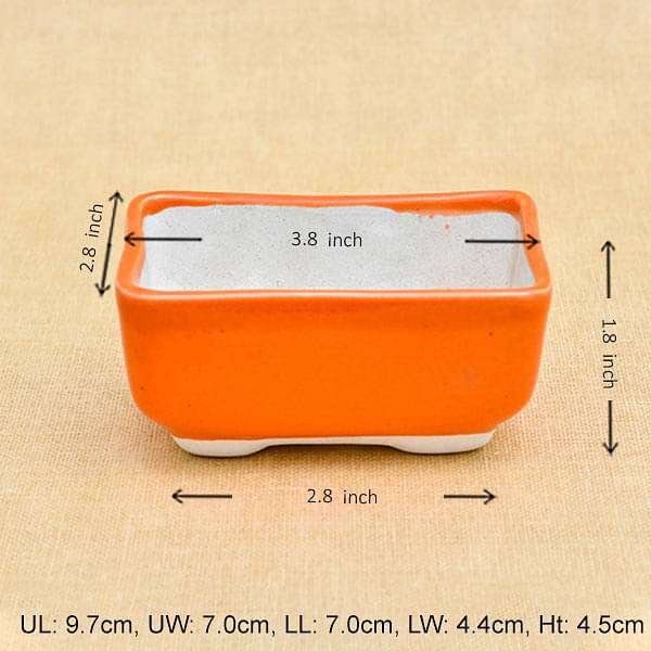 nurserylive-planters-3-8-inch-10-cm-bonsai-rectangle-ceramic-pot-orange-16968463122572_600x600