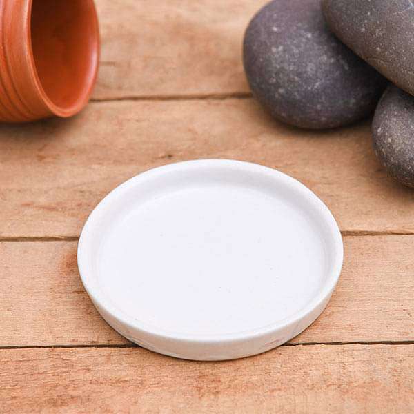 nurserylive-planters-4-2-inch-11-cm-round-ceramic-plate-for-4-inch-10-cm-ceramic-pot-white-16968477999244_600x600
