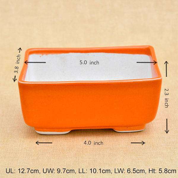 nurserylive-planters-5-inch-13-cm-bonsai-rectangle-ceramic-pot-orange-16968510144652_600x600