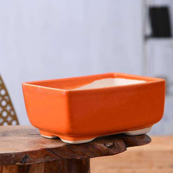 nurserylive-planters-5-inch-13-cm-bonsai-rectangle-ceramic-pot-orange-16968510177420_600x600