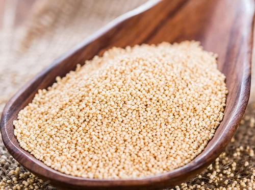 Amaranth (Thotakura) Seeds (10 Seeds)---