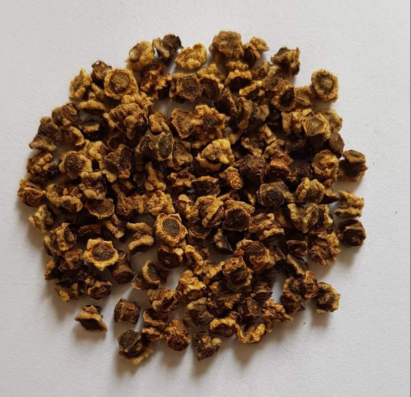 Beetroot Seeds (15 seeds)--2