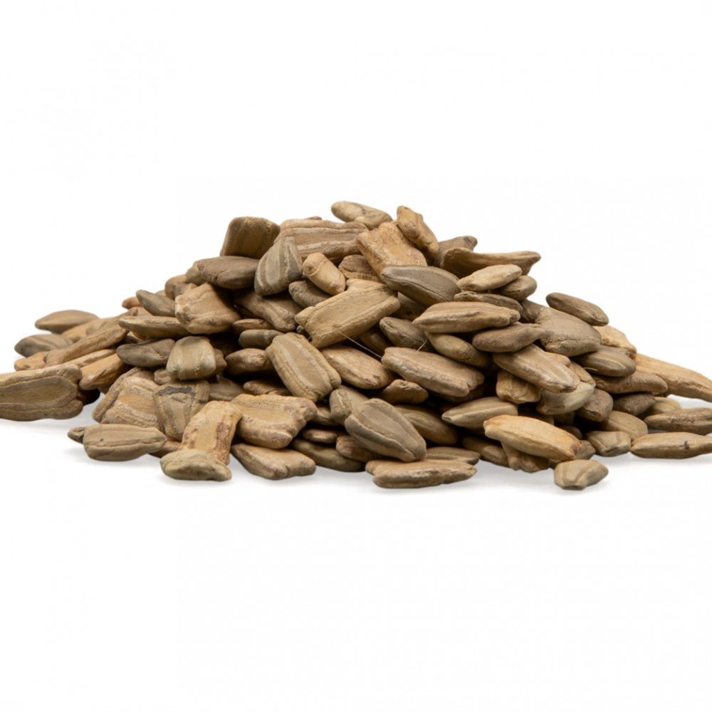 Bottle Gourd Seeds (3 seeds)--3
