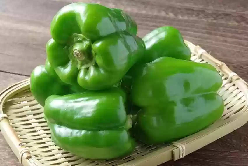 Capsicum Green Seeds (10 seeds)-