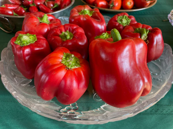 Capsicum Red Seeds (10 seeds)-1