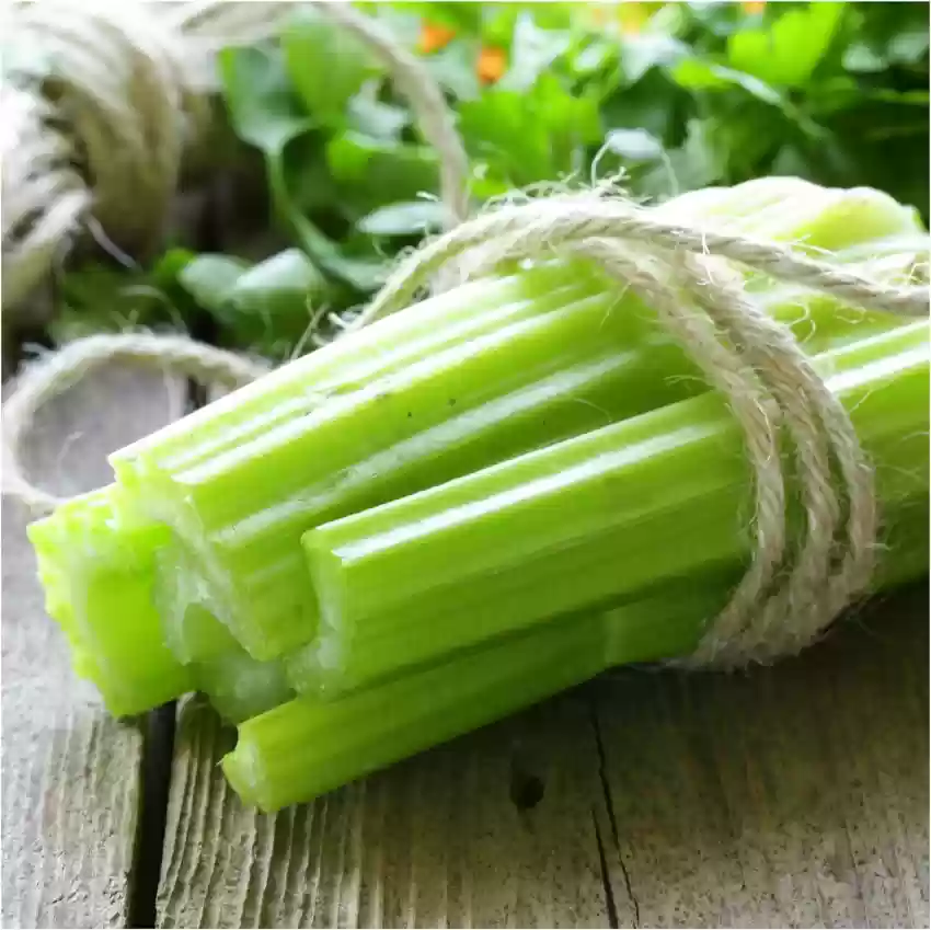 Celery Seeds (20 seeds)