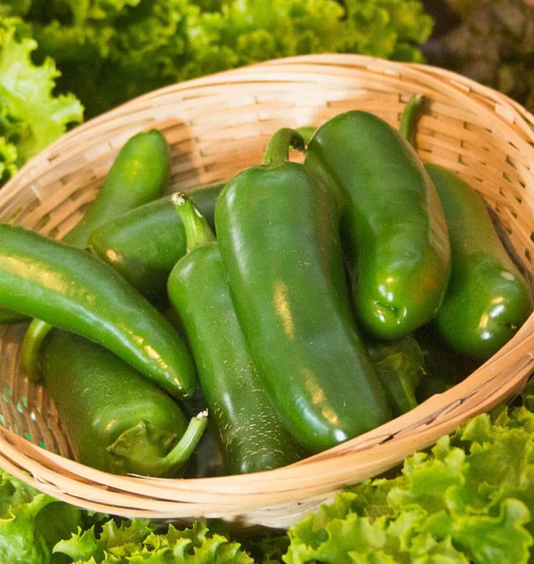 Chilli Jalapeno Seeds (10 Seeds)