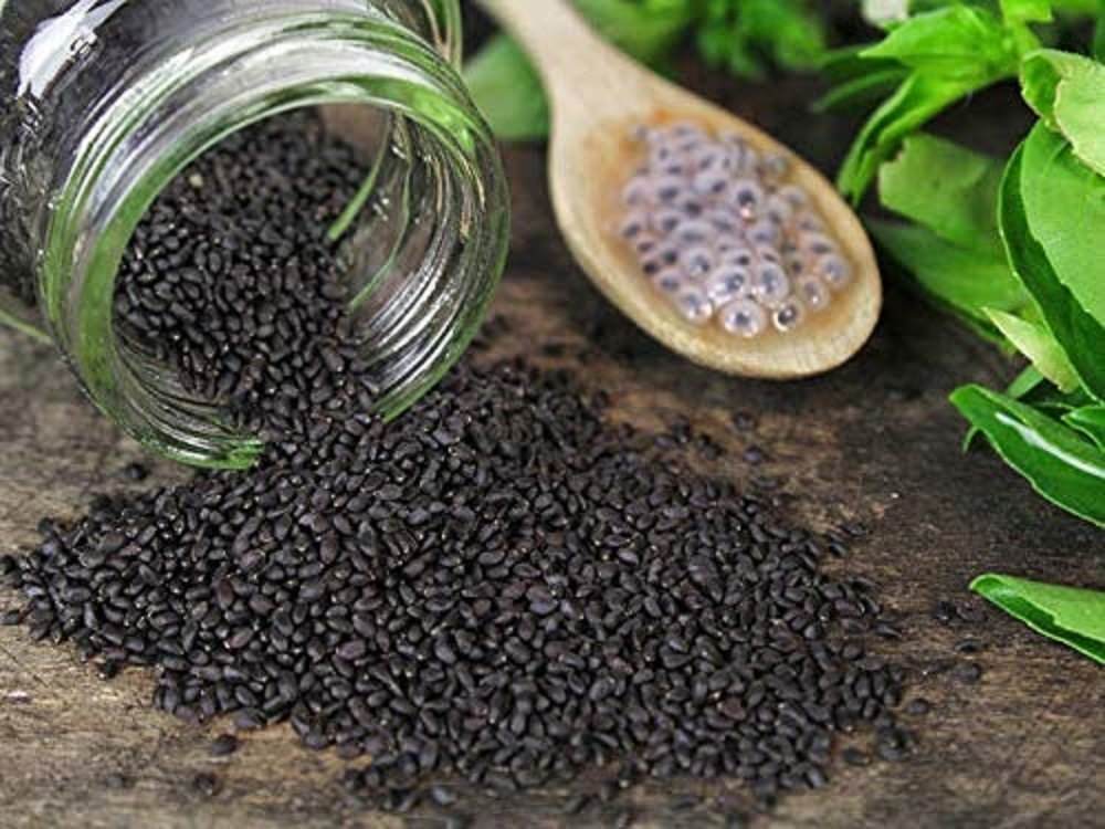 Demand Agro Basil Black Indian Seeds-1