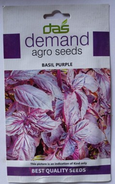 Demand Agro Basil Purple Seeds