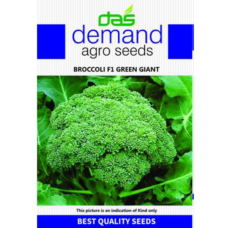 Demand Agro Broccoli F1 Green Giant Seeds-