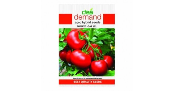 Demand Agro Tomato F1 Das (101 seeds)