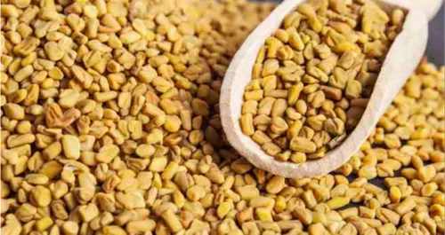 Fenugreek (Methi) Seeds (10 seeds)