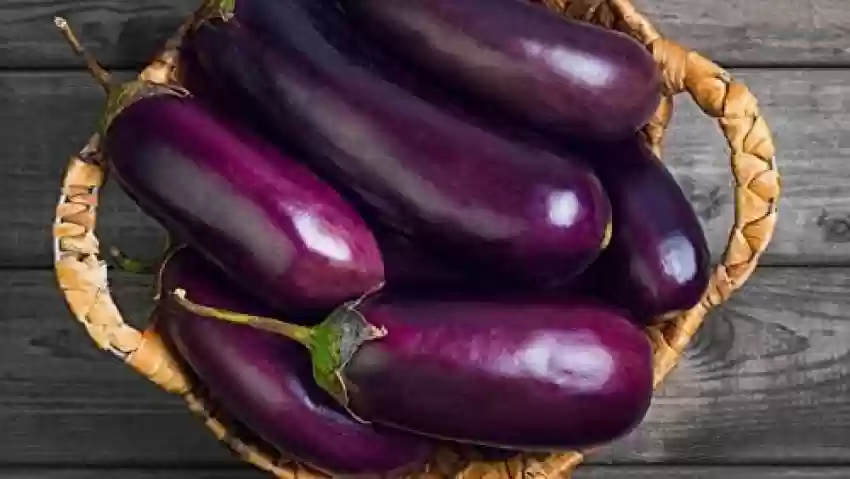 Long Brinjal Seeds (10seeds)