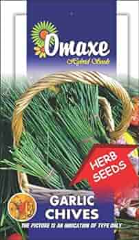 Omaxe Chives seeds -1