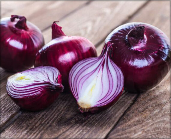 Onion Seeds (20 seeds)