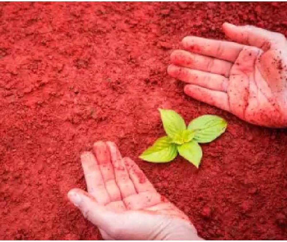RED SOIL3