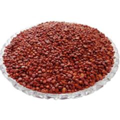 Radish Seeds (10 seeds)--1