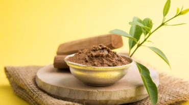 Red Sandal Wood Seeds (5 Seeds)---