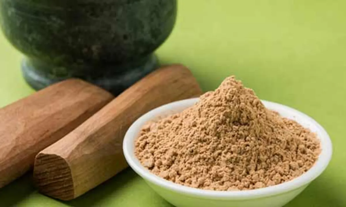 Red Sandal Wood Seeds (5 Seeds)---1