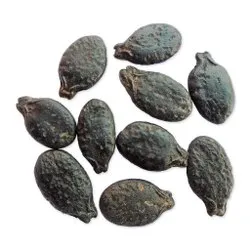 Ridge Gourd Seeds (5 Seeds)