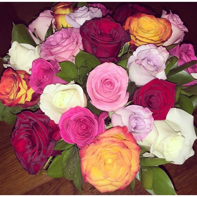 Rose Seeds (5 seeds)-