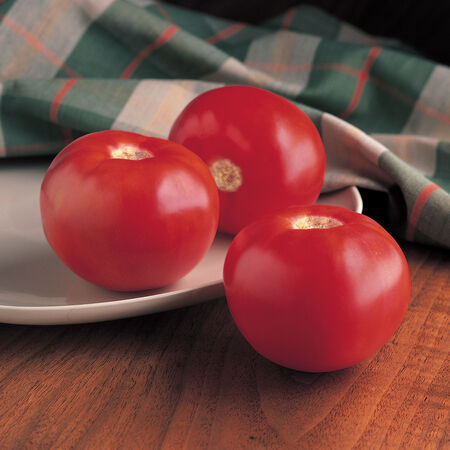Round Tomato--