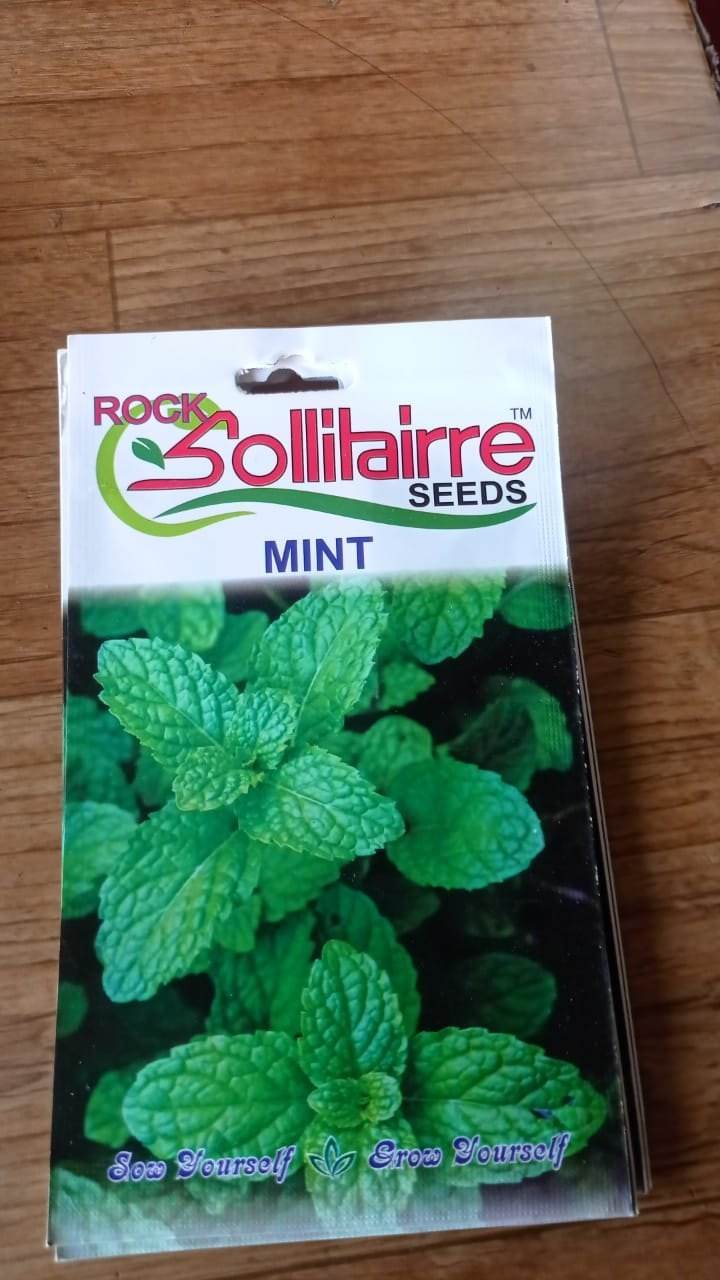 Wisitiria Mint Seeds (100 seeds)-1