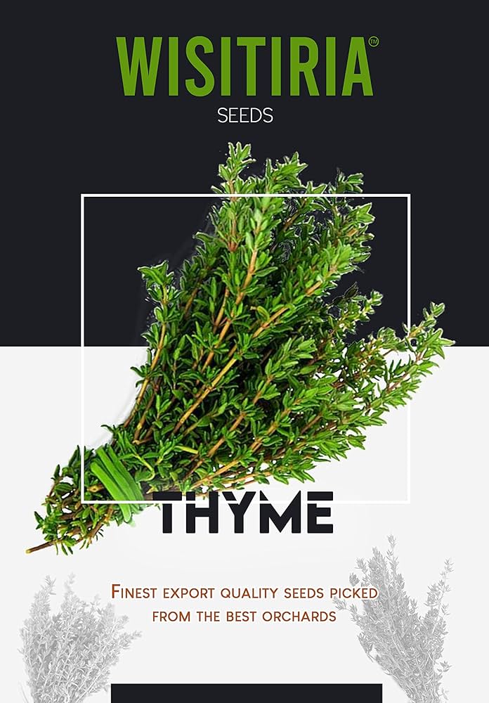 Wisitiria Thyme Seeds (50 seeds)-1
