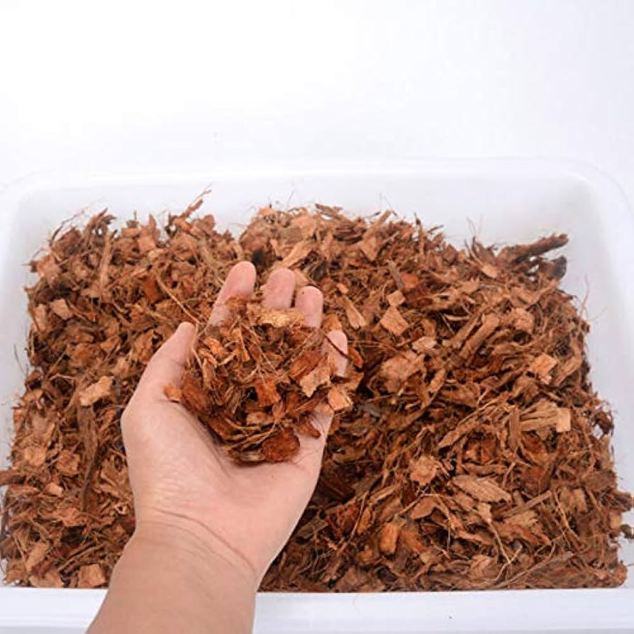 coconut husks2