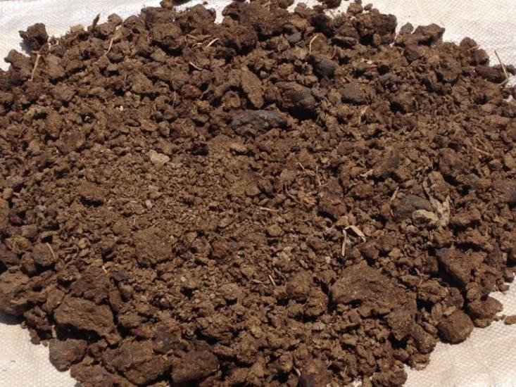 cow dung power