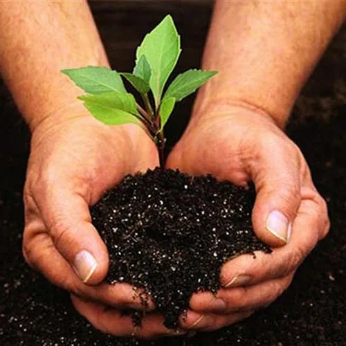 growth promoter 2