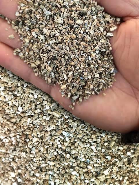 vermiculte