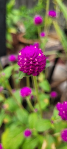 20231126_115616 (1)